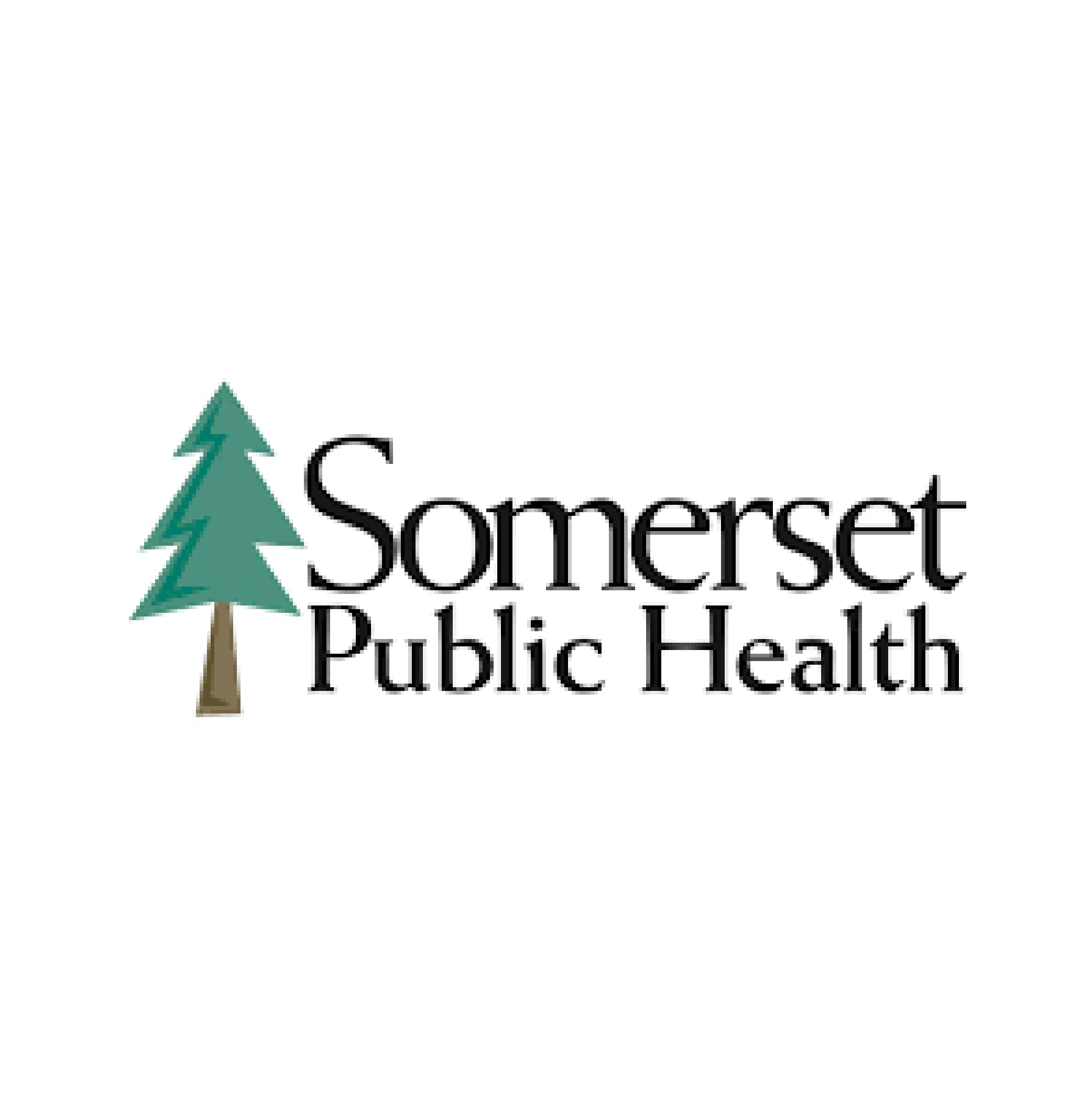Logotipo de Salud Pública de Somerset