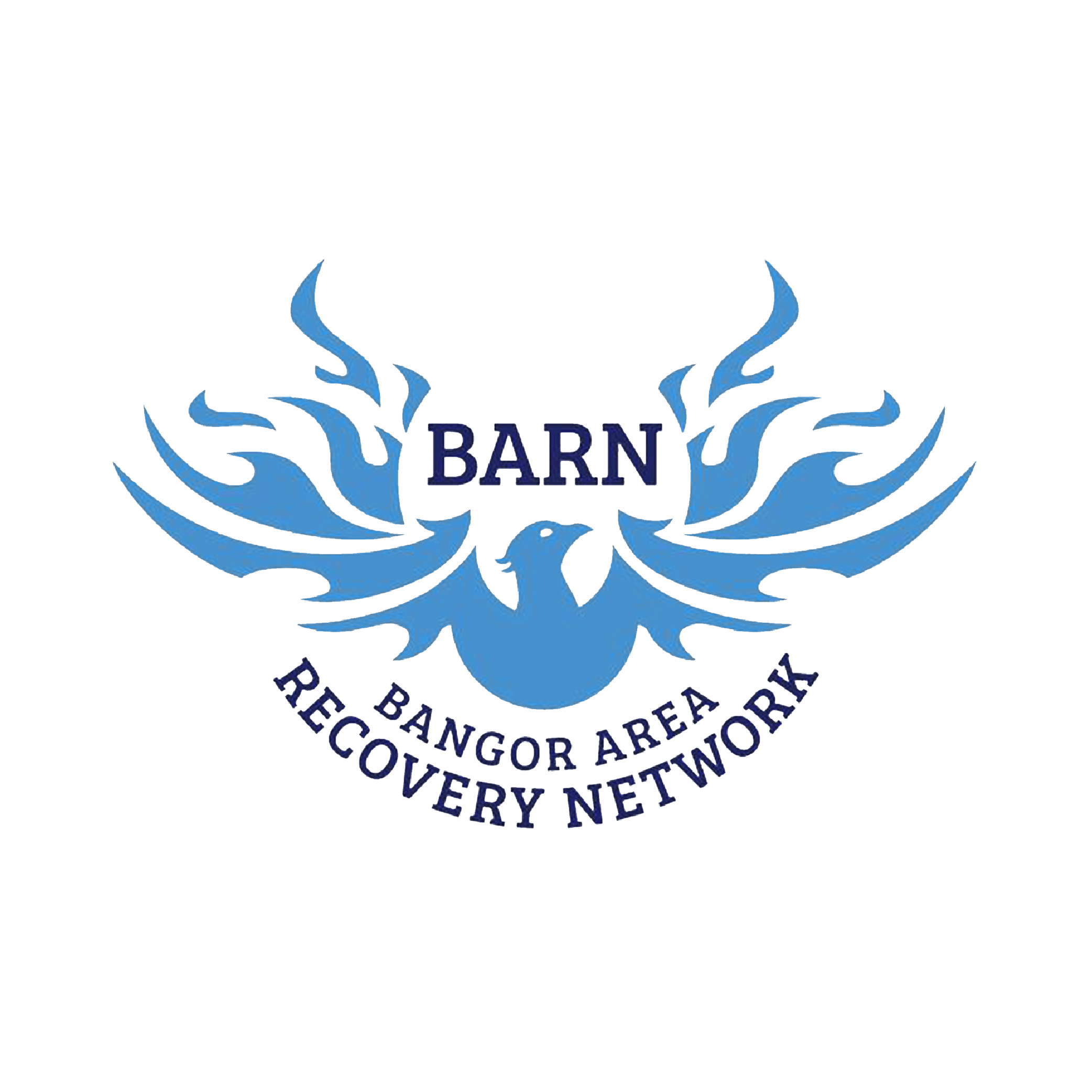 شعار شبكة استعادة منطقة بانجور