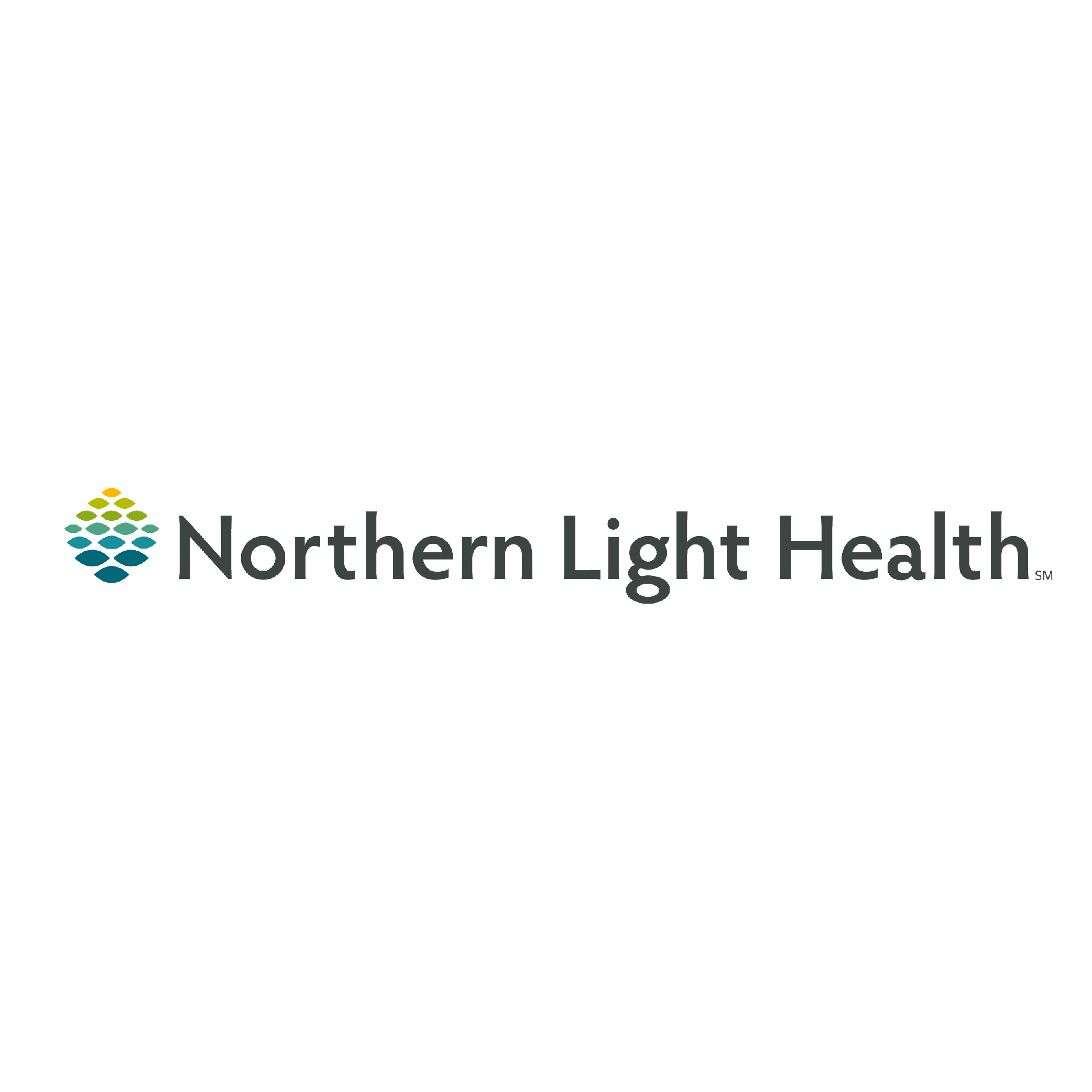 Logotipo de Northern Light Health