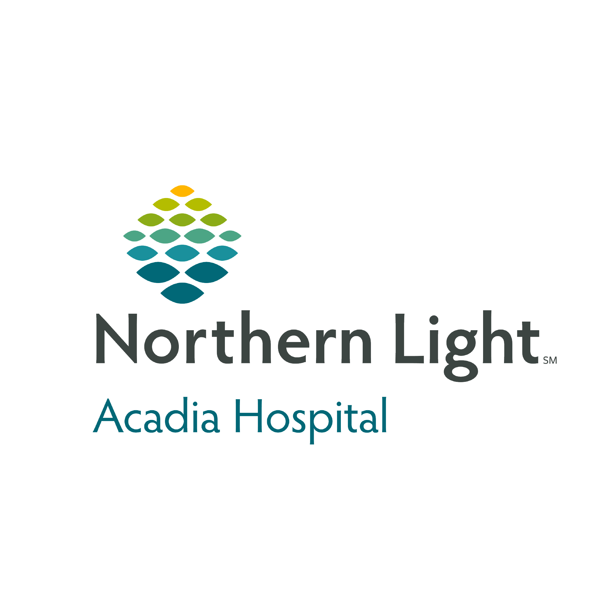 Logotipo del Hospital Northern Light Acadia