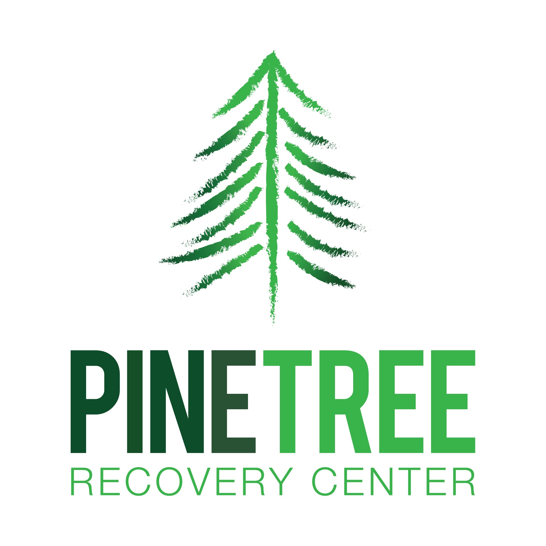 Logotipo del Centro de Recuperación Pine Tree
